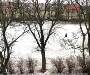 Śnieżyca we Wrocławiu i okolicach. Fatalne warunki na drogach 