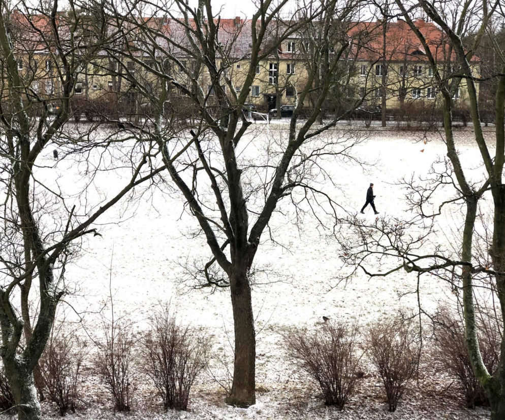 Śnieżyca we Wrocławiu i okolicach. Fatalne warunki na drogach 