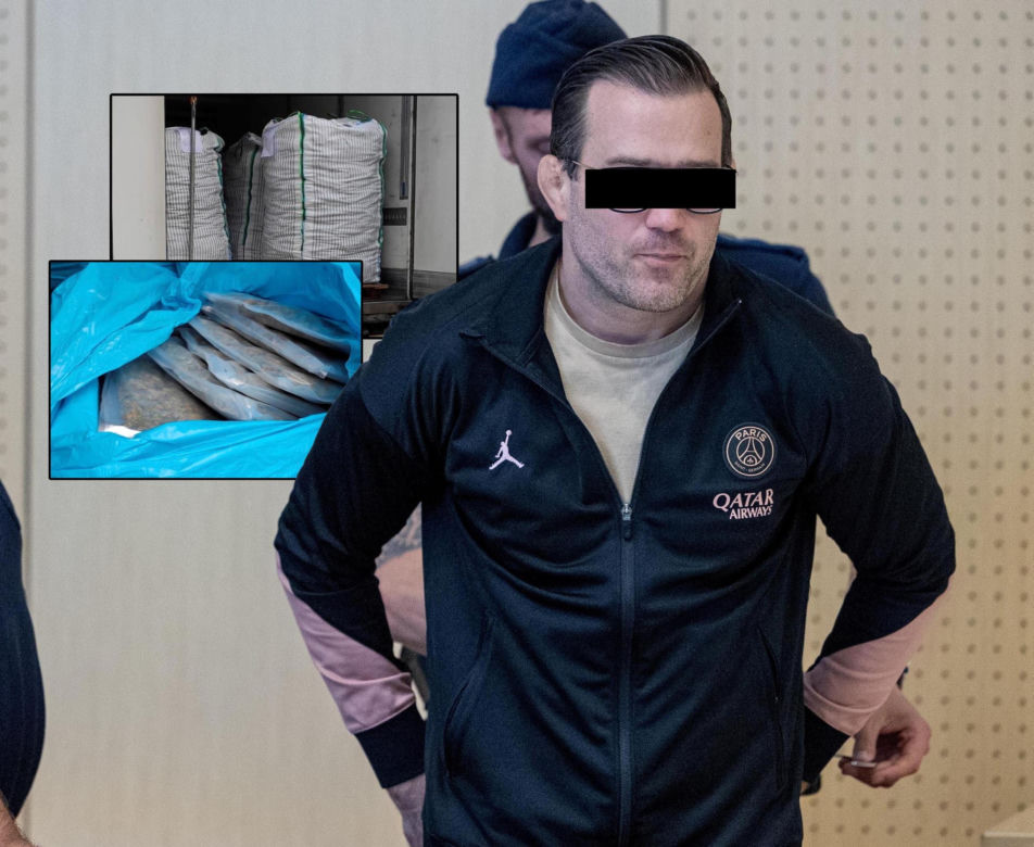 Mieszali ogórki z marihuaną