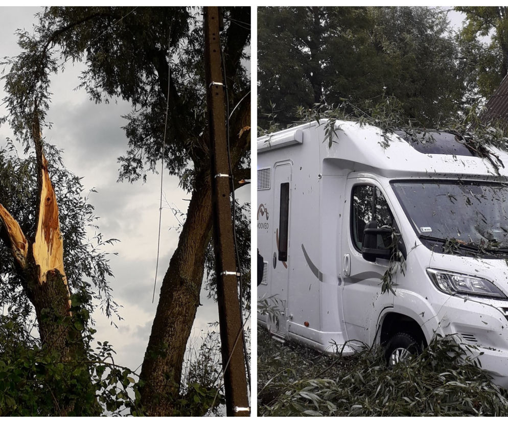 Skutki burzy w Krynkach. Złamany konar zerwał linię energetyczną i uszkodził auto