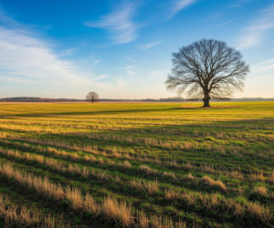 Prognoza pogody 8 i 9 marca. Jak długo utrzyma się ta anomalia?