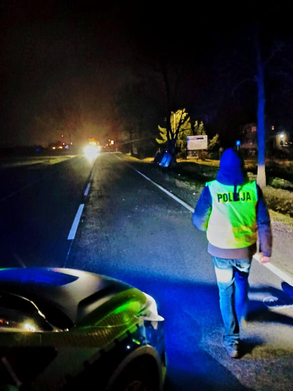 Śmiertelny wypadek na DK 94 pod Legnicą. 22-latek rozbił się oplem na drzewie [ZDJĘCIE]