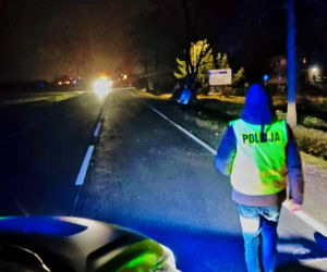 Śmiertelny wypadek na DK 94 pod Legnicą. 22-latek rozbił się oplem na drzewie [ZDJĘCIE]