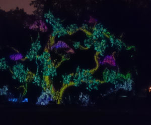7 W Łodzi trwa Festiwal Światła. ZOBACZ, jak zmienił łódzką przestrzeń