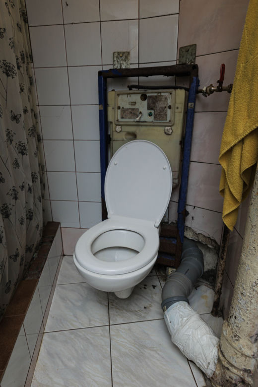 Plaga szczurów we Wrocławiu