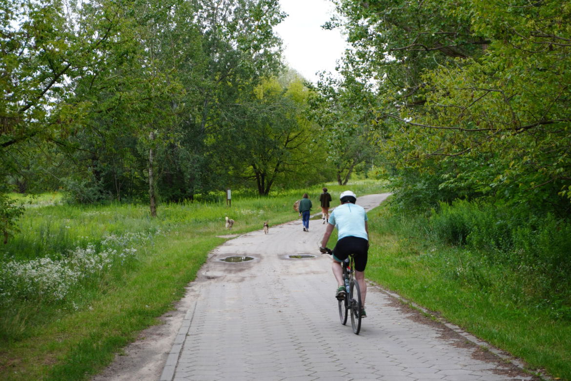 Teren Rekreacyjnych Ogródków Działkowych na Międzywalu Wisły