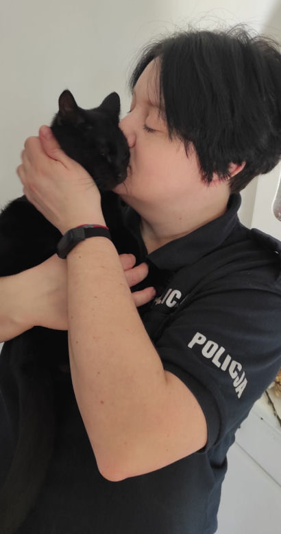 Bezdomny kociak przyszedł pod komisariat w Bytowie. Wspaniała reakcja policjantki