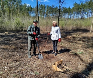 W Lesie Sekulskim rośnie już kilkaset nowych, młodych buków! Drzewa zasadzili członkowie siedleckiego samorządu i leśnicy
