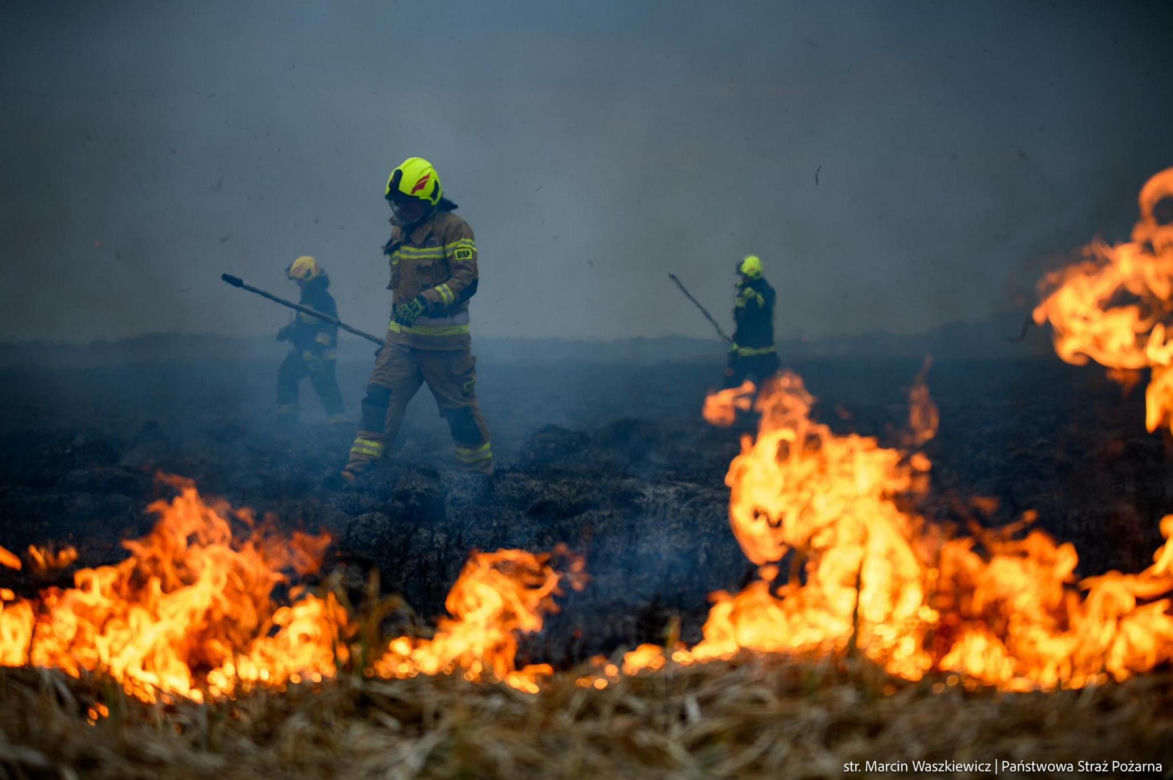 Pożar w Biebrzańskim Parku Narodowym - 30.03.2025