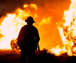 Nagrał tajemnicze słowa pani burmistrz, chodzi o pożary. Czytaj między wierszami