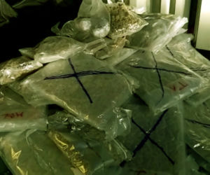 Zlikwidowali nielegalną produkcję papierosów i znaleźli 50 kg narkotyków