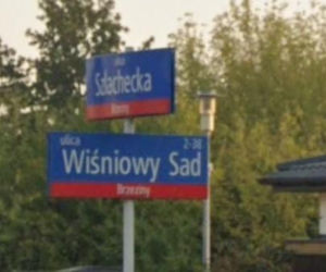 Oto najbardziej wiosenne ulice w stolicy! Tu wiosna trwa cały rok!