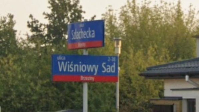 Oto najbardziej "wiosenne" ulice w stolicy! Tu wiosna trwa cały rok!