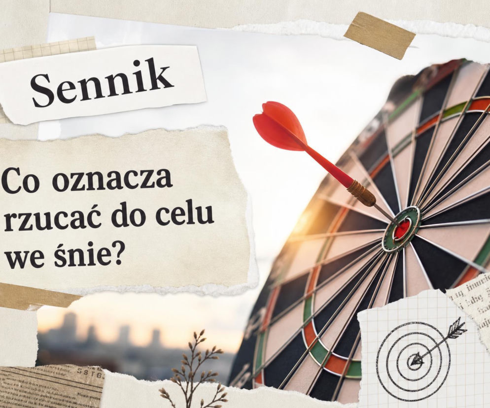 Lotka wbita w środek tarczy do darta. O znaczeniu snu o rzucaniu do celu przeczytasz na SE.