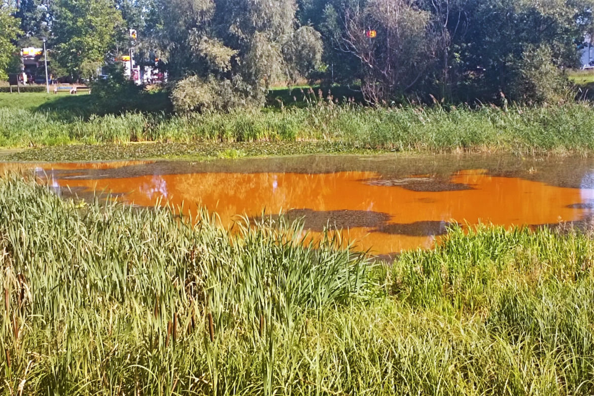 Zanieczyszczone Jezioro Słoneczne