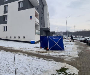 Krwawa masakra w Rzeszowie. Wołała pomocy, gdy dźgał ją nożem kuchennym. Nowe fakty [ZDJĘCIA]