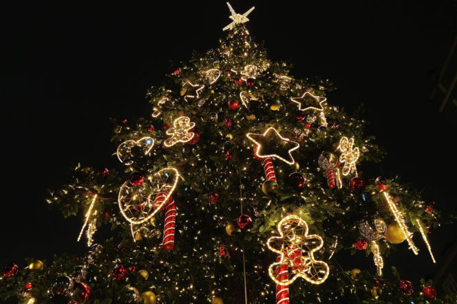 Choinka przed urzędem miasta w Szczecinie