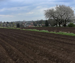 Pułapka ekologicznych dopłat. Rolnicy tracą, bo zapominają o kluczowej rzeczy