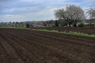Pułapka ekologicznych dopłat. Rolnicy tracą, bo zapominają o kluczowej rzeczy