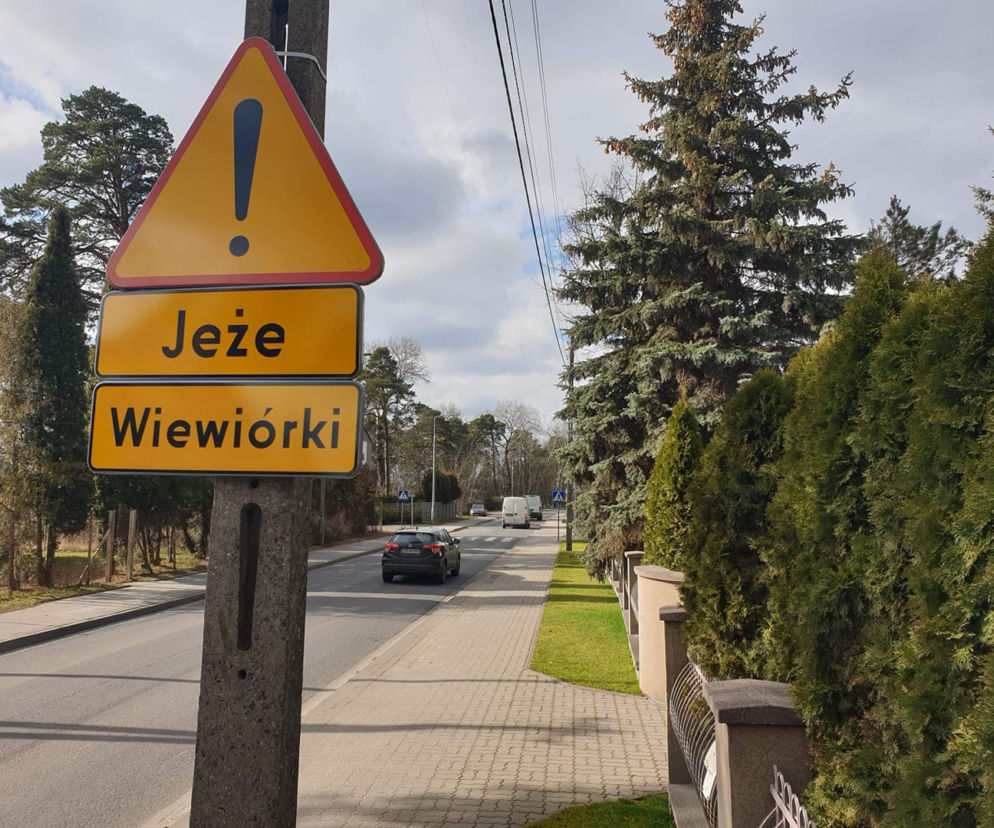 Jeże i wiewiórki też mają swoje prawa! I znaki drogowe 
