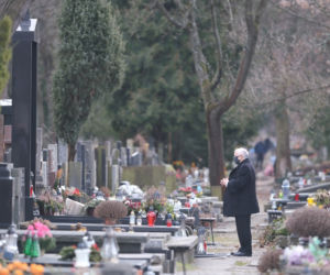 Prezes z palmą, Wałęsa bez