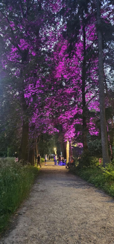 Park Świateł