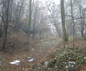 Fort Piechoty numer 6 Polanowice