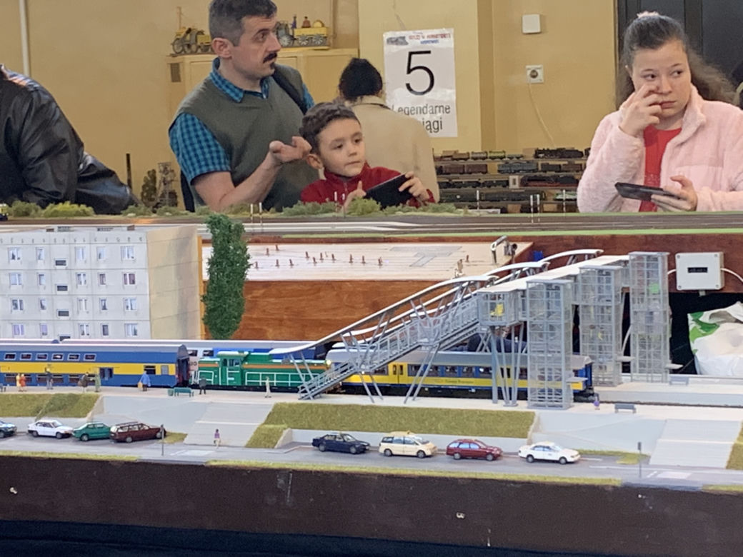 Kolej w miniaturze. Festiwal modelarski w Sosnowcu