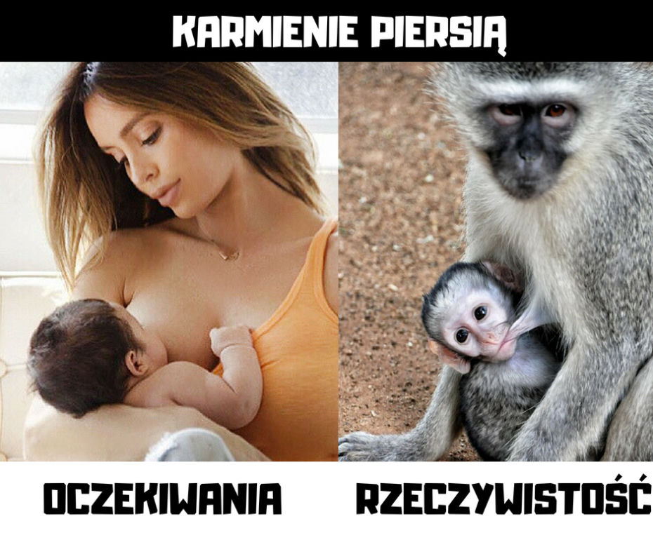 MAMA. To brzmi dumnie! Dziś ich święto. Zobaczcie zabawne MEMY na Dzień Matki 2020