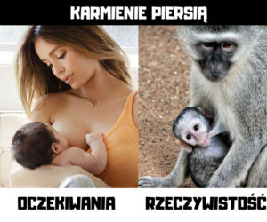MAMA. To brzmi dumnie! Dziś ich święto. Zobaczcie zabawne MEMY na Dzień Matki 2020