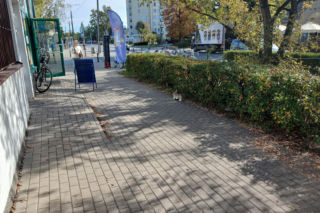 Śmierć na Wawrze