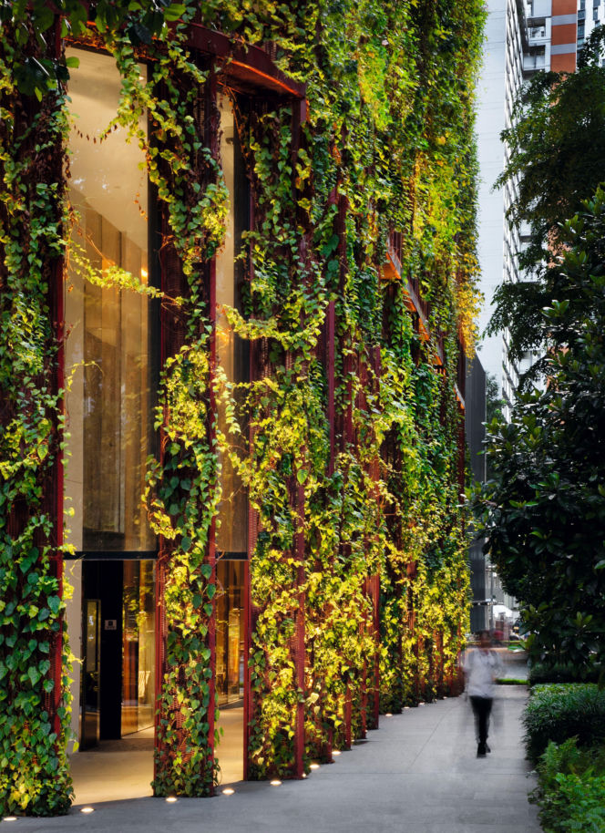 Zielone fasady odmieniają miasta