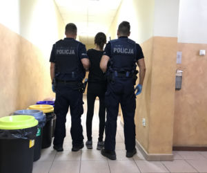 42-latka wyrzuciła szczeniaki do śmietnika. Obrzydliwe zachowanie mieszkanki podnakielskiej wsi