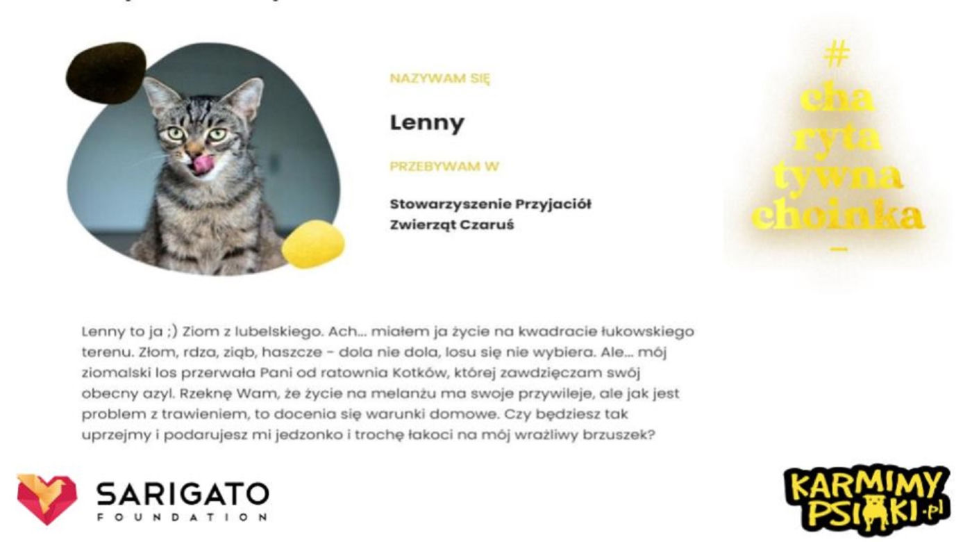 Charytatywna Choinka dla bezdomnych psów i kotów. Każdy może pomóc!