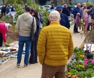 Pchli targ na Pogodnie