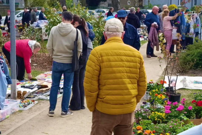 Pchli targ na Pogodnie