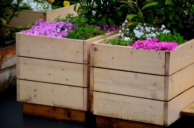 Rośliny w drewnianych skrzyniach