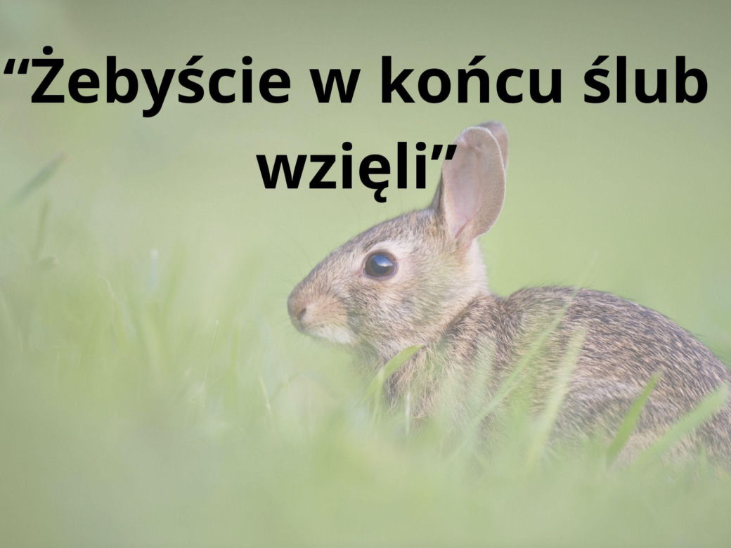 Tych życzeń nigdy nie składaj przy wielkanocnym stole 