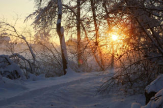 Powrót śniegu i mrozu. Wiadomo, kiedy zaatakuje zima