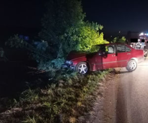 Pies wyskoczył wprost pod koła BMW. Matka z dziećmi zjechała do rowu [ZDJĘCIA]
