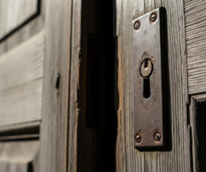 Struś Zenek bestialsko zabity. Co planował jego oprawca?