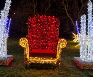 Ogród Botaniczny po zmroku zamienia się w magiczny ogród [GALERIA]