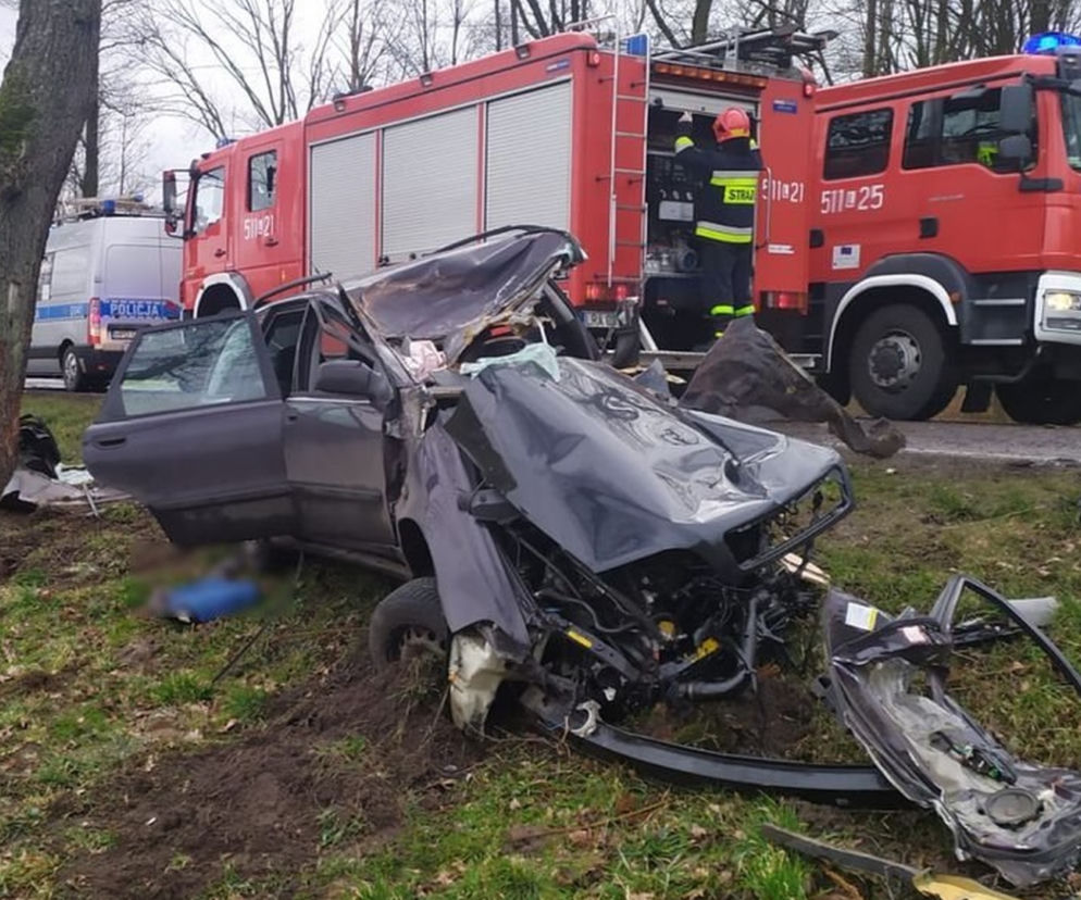 Zjechał z drogi i uderzył w drzewo. MAKABRA! Z samochodu zostało niewiele [ZDJĘCIA]