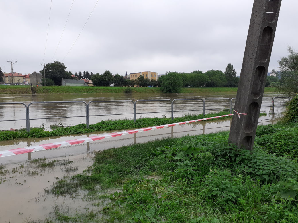Przemyśl: San zalał ogródki działkowe i ścieżki rowerowe