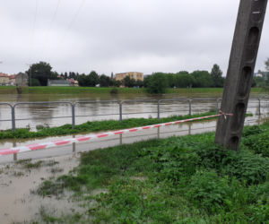 Przemyśl: San zalał ogródki działkowe i ścieżki rowerowe