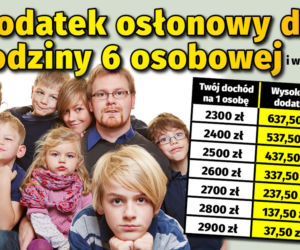 Dodatek osłonowy