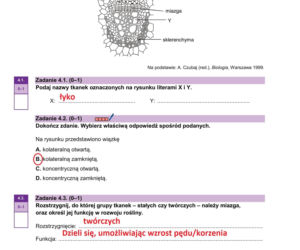 Matura próbna 2026 - biologia. Wszystkie odpowiedzi do arkusza CKE z biologii 14.01.2026