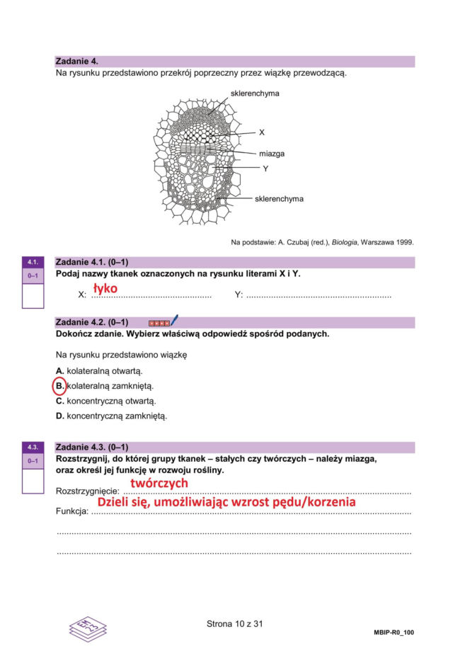 Matura próbna 2026 - biologia. Wszystkie odpowiedzi do arkusza CKE z biologii 14.01.2026
