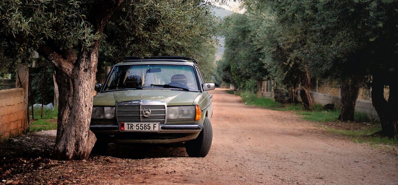 Albania – 74 punkty