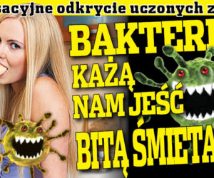 Bakterie każą nam jeść bitą śmietanę